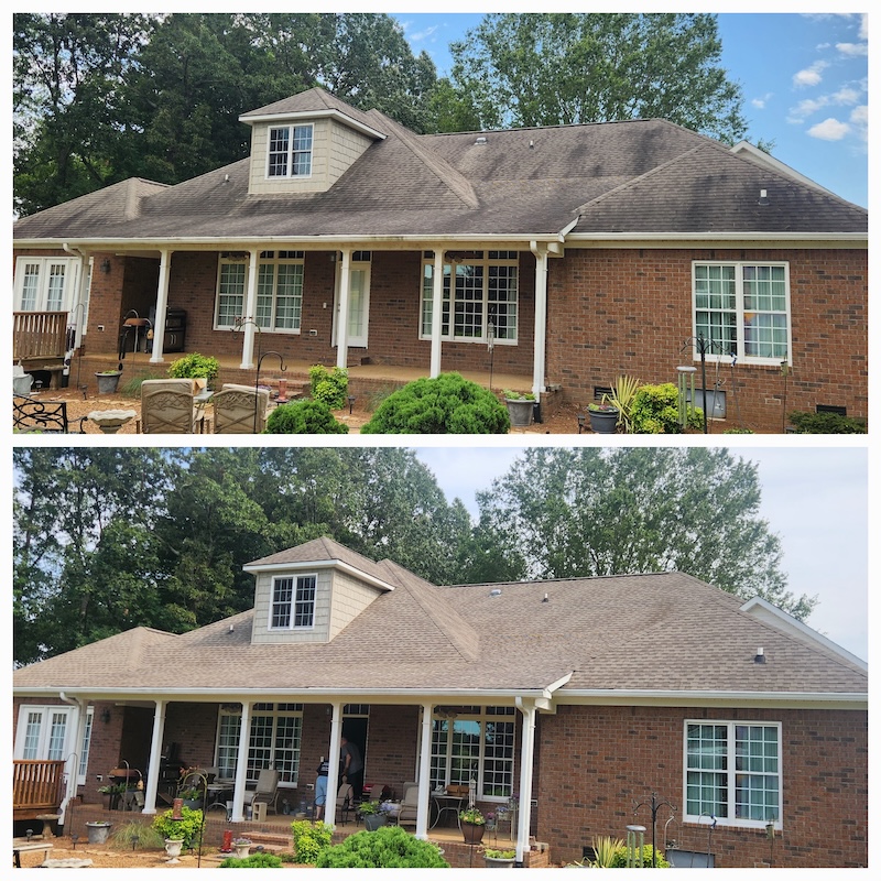 Roof cleaning